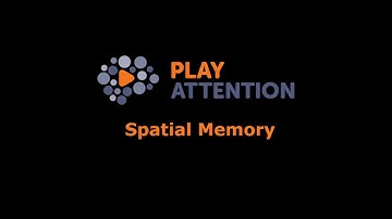 Spatial Memory