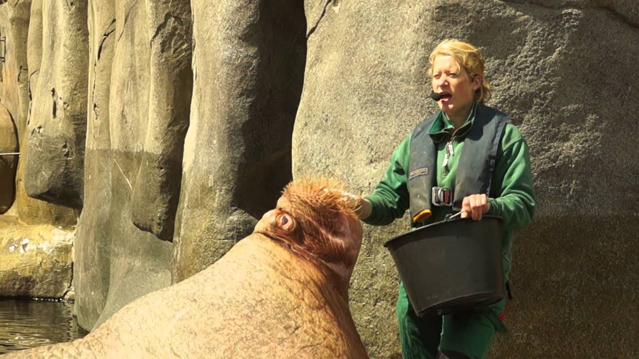 Hagenbecks Tierpark, Hamburg, Germany