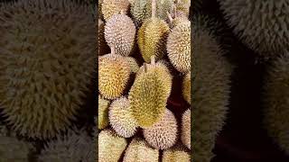 DURIAN #trending #Viral #shorts # meme