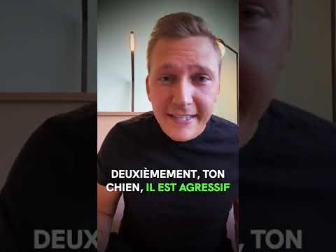 Agressif ou réactif ?! - Agressif ou réactif ?!