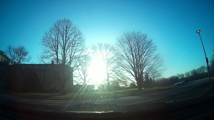 First day of spring!!!🌻🌻🌻time lapse New England