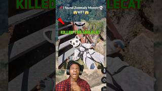 I Found Zoonomaly Monster Wft In Google Earth And Google Maps