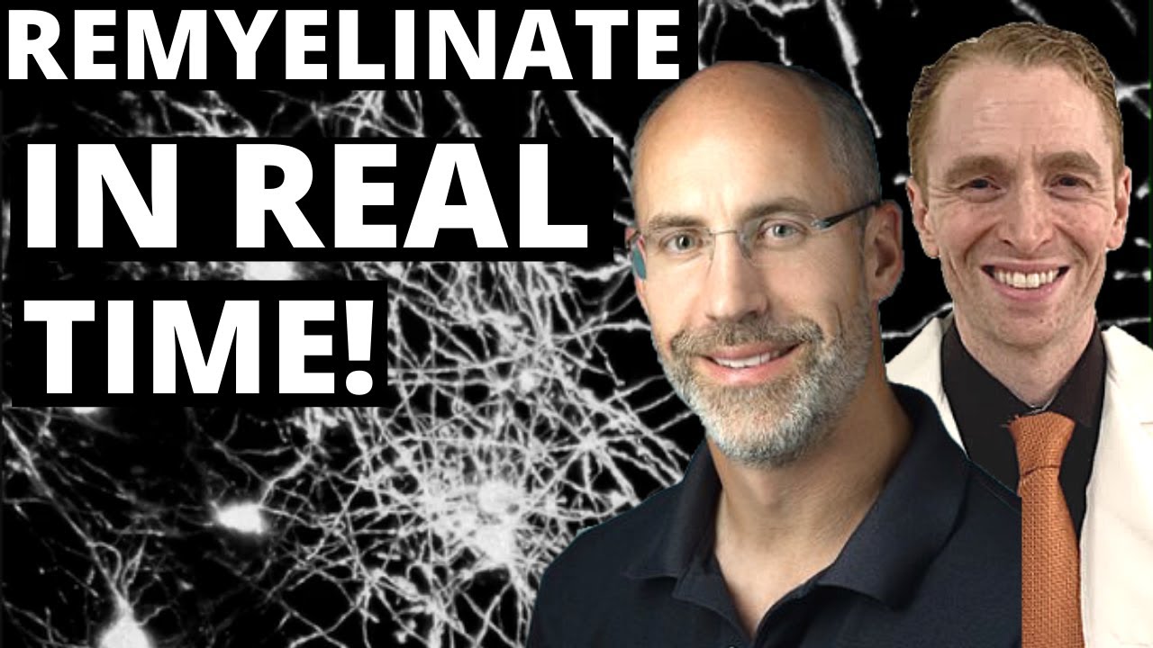 Remyelination in Real Time in a Living Mouse! 2020 Barancik Prize Winner Prof Dwight Bergles Ph.D.