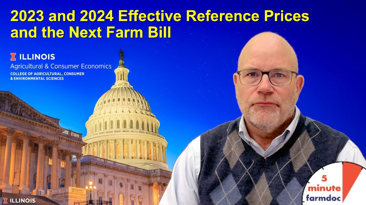2023 and 2024 Effective Reference Prices and the Next Farm Bill - YouTube