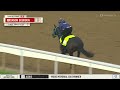Kentucky Derby Workout - DANON BOURBON #ダノンバーボン