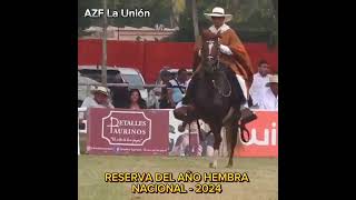 AZF La Unión (AEV El Patricio X AZF Pura Vida)- JOR Dinamita (JOR Fulminante-TE X JOR Cortesía-TE)