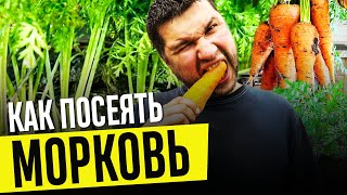 ЛУЧШИЙ способ посадки МОРКОВИ без прореживания и прополки