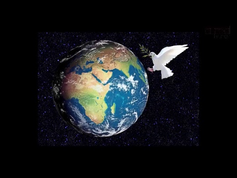  Transmisión en directo de almatv