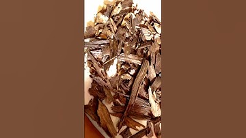 3 Loại gỗ đắt nhất Việt Nam - thứ nhất là ...