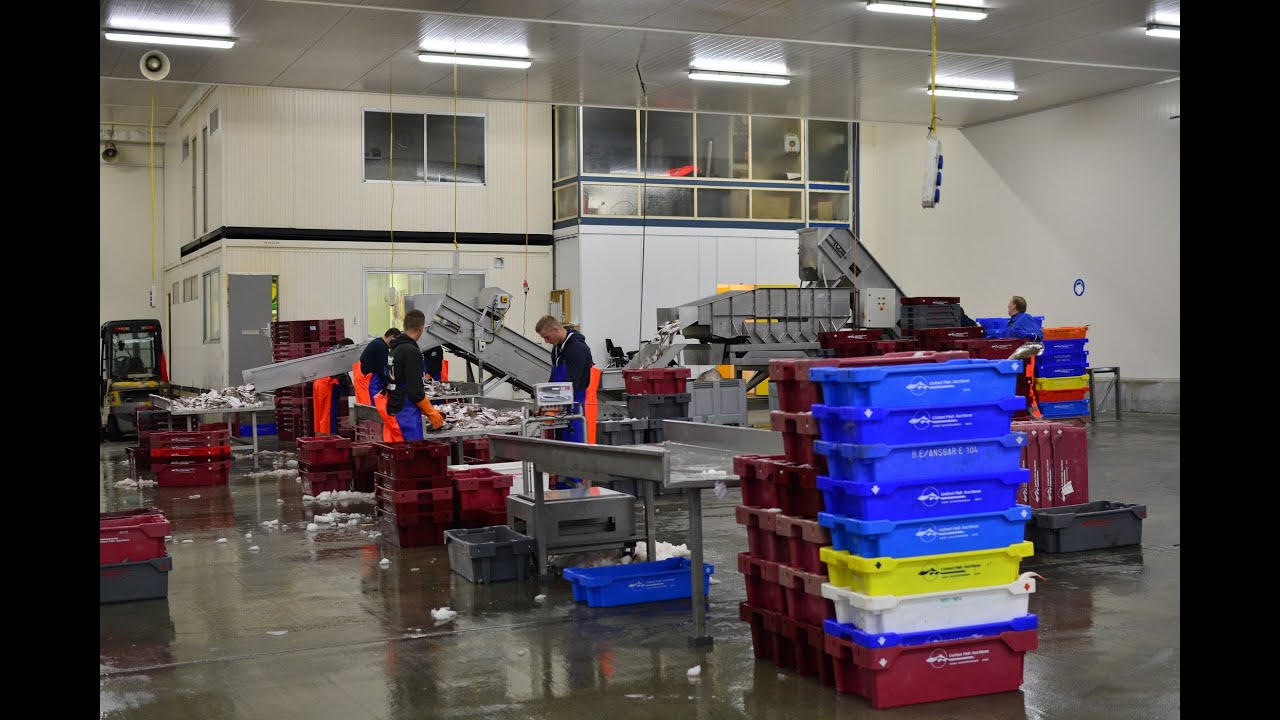 Visafslag Den Helder 2021