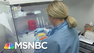 Top Health Official Admits Coronavirus Testing System Is ‘Failing’ | The Last Word | MSNBC