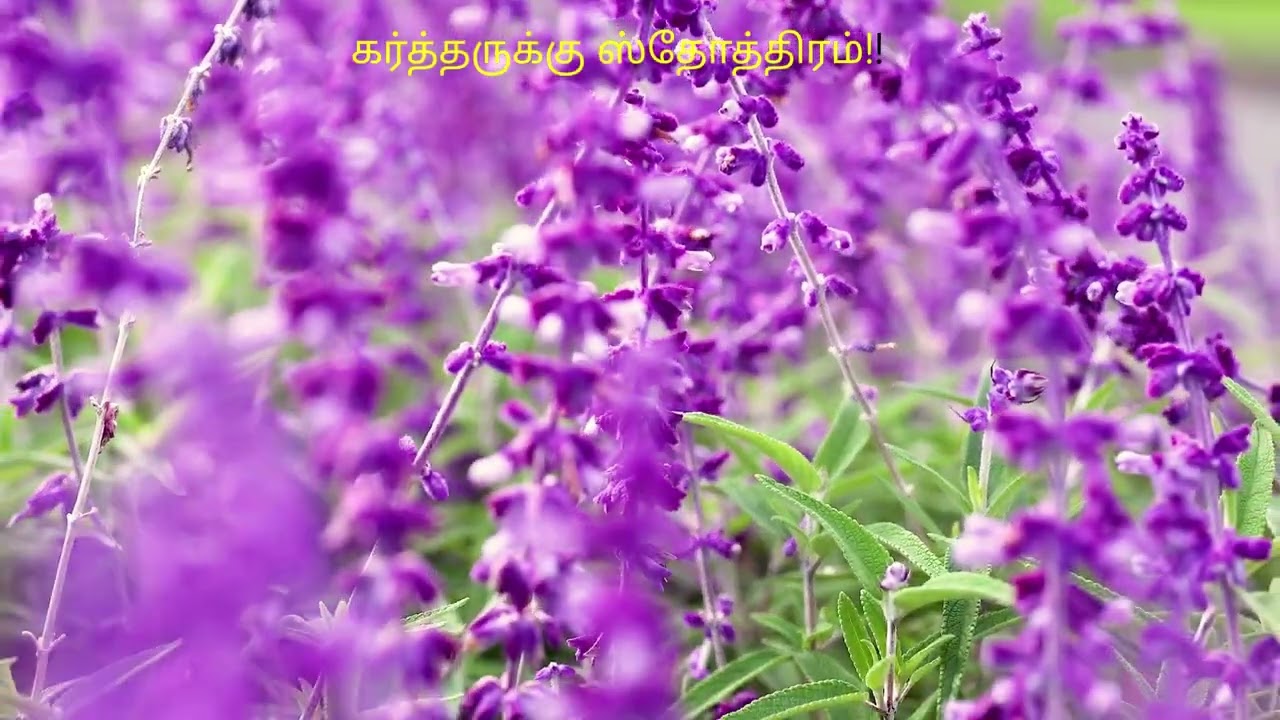 இன்னும்   துதிப்பேன் இன்னும் போற்றுவேன்.....