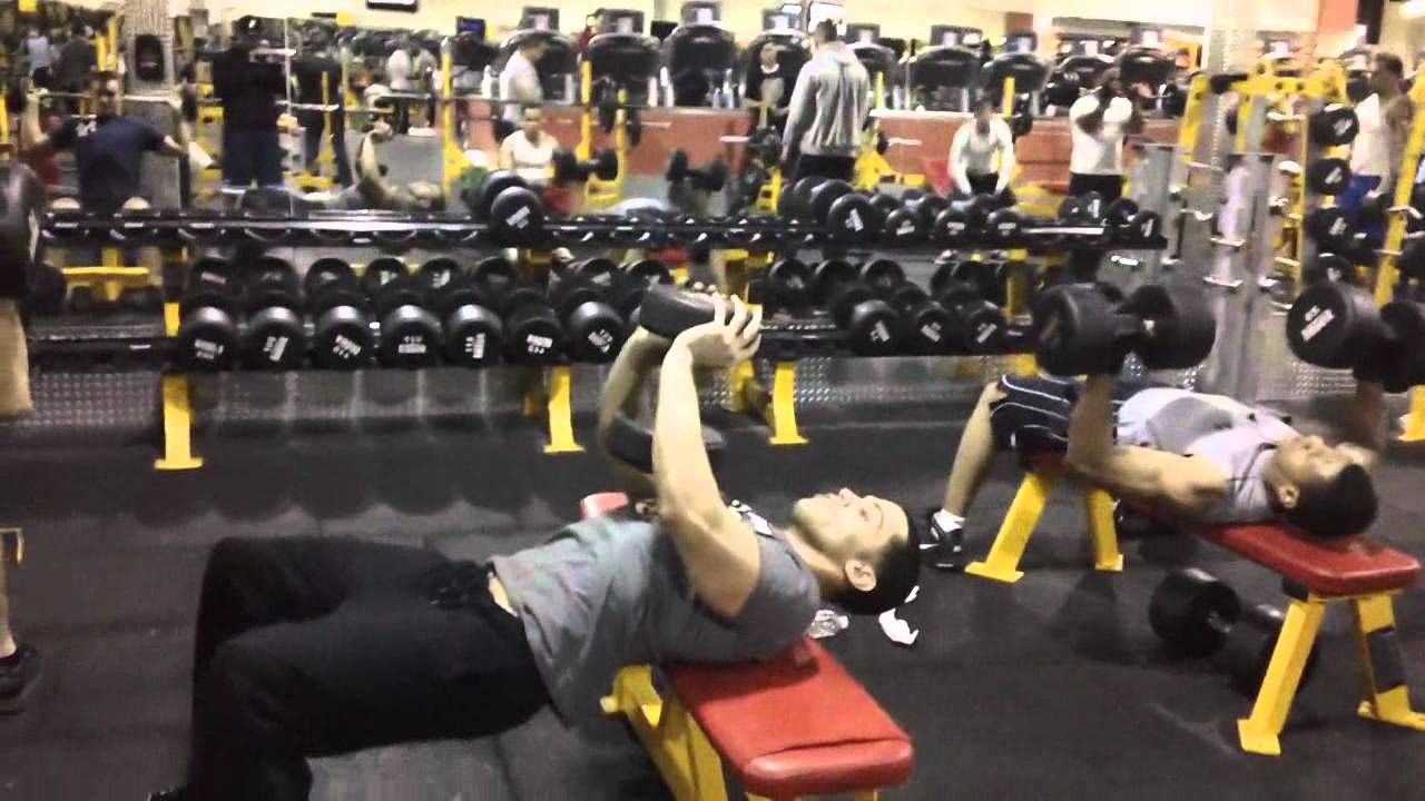 bodybuilding-chest-routine-bench-press-dumbbells-youtube