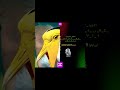  اوراياوا  