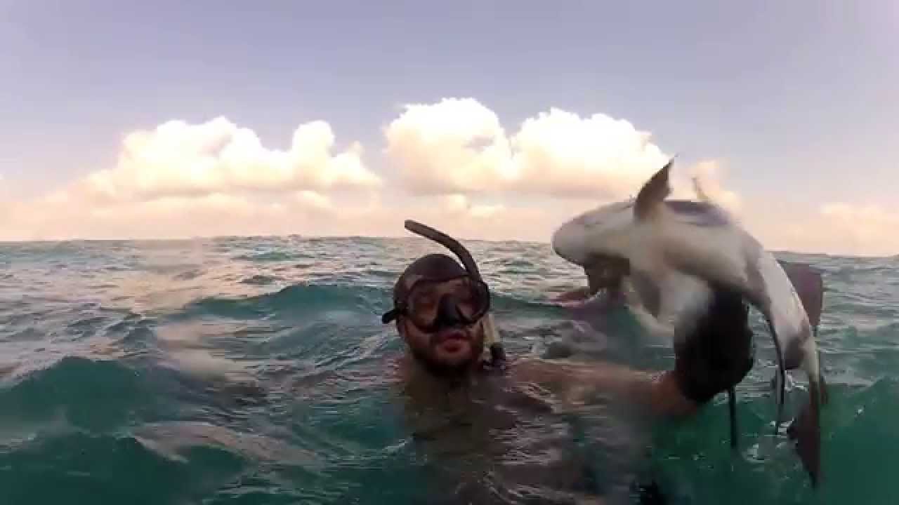 Texas Spearfishing at Oil Rigs Corpus Christi YouTube