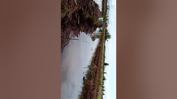 Mô hinh đặc cá bống chứng trong vuông tôm