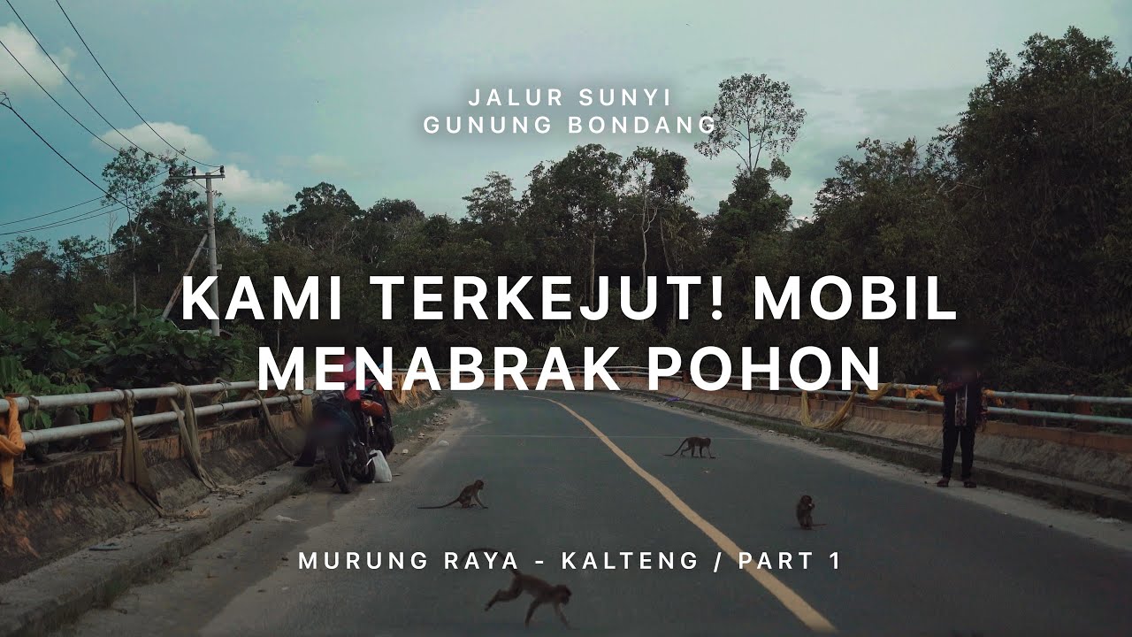 Gunung Bondang - Jalur Sunyi Kalimantan Tengah (Murung Raya) #1