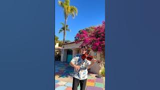 Bella Ciao - Violin Cover in a Perfect Italian-Style Town 🇮🇹