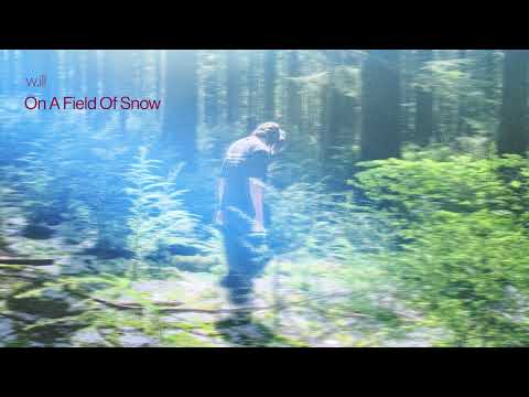 w.ill - On A Field Of Snow
