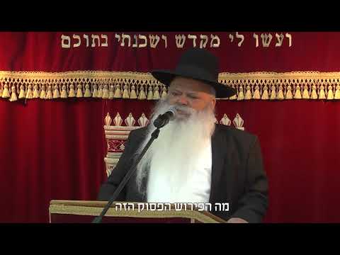 היצר הרע רוצה את היאוש | קצרים | הרב דניאל זר