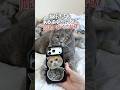 猫好きさんあるあるといえば #pr #casetifypartner #iphoneケース #猫