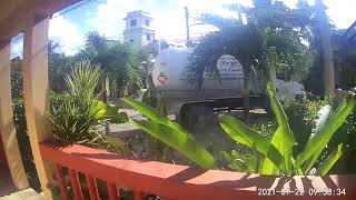 Z gas takes out tree