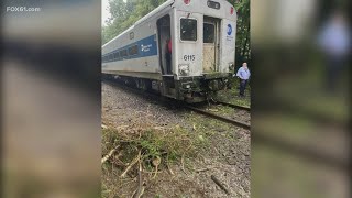 Metro-North train delayed after hitting tree sitting on tracks in Milford