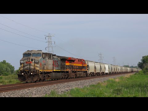 Grey Ghost Leader