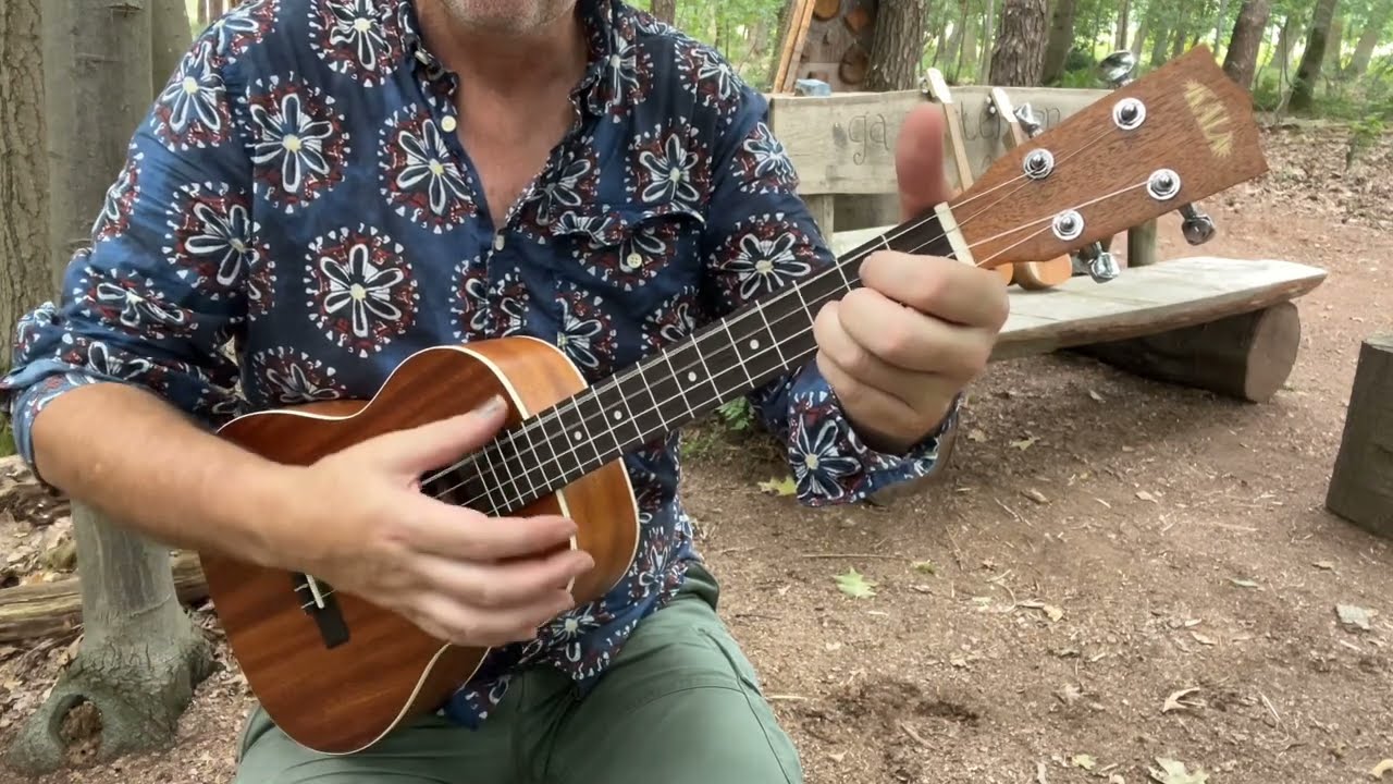 55 seconden Kala B bariton ukulele soundtest