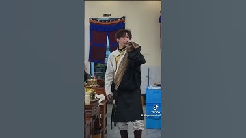 Thumbnail of Tibetan Popular song Flyyyyyyyy 🦅