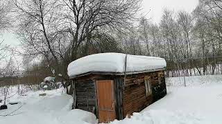 Много снега - много мёда. Проверим в августе.