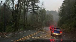 Severe Thunderstorms Cause Tree Damage in SW Oregon (5/3/26)