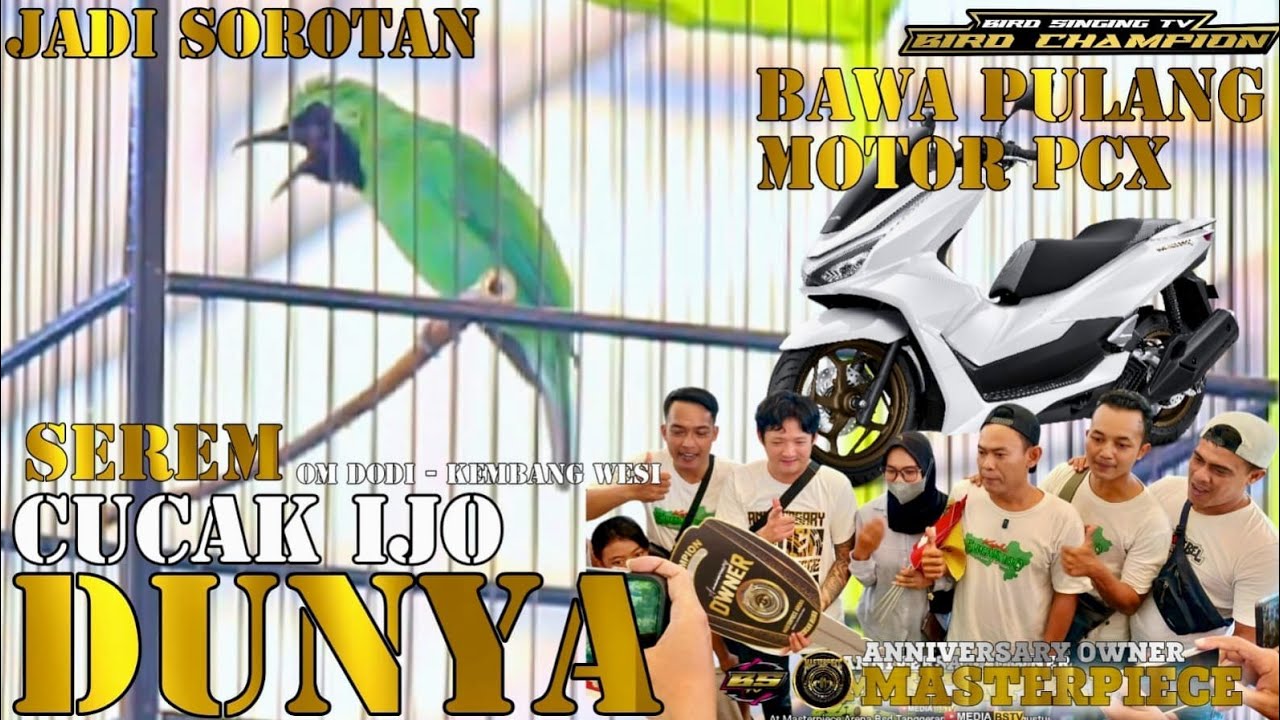 SEREM ‼️ CUCAK IJO DUNYA BAWA PULANG 1 MOTOR PCX - KEMBANG WESI ANNIVERSARY OWNER MASTERPIECE