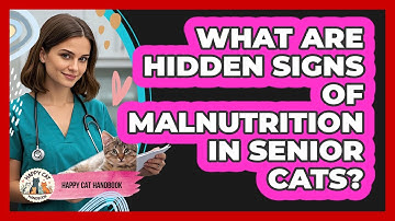 What Are Hidden Signs Of Malnutrition In Senior Cats? - Happy Cat Handbook