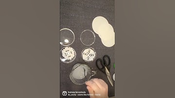 How to Make Borax Crystal Snowflakes