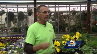 Getting a head start on spring planting in the Tri-State