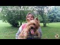 Talents Cairn Terrier. Таланты керн терьера. の動画、YouTube動画。