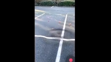 Augmented Reality Music Visualizer [iOS ARKit] #AR #shorts