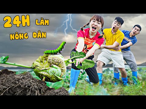 Hà Sam Thử Thách 24H Làm Nông Dân Ra Đồng Thu Hoạch Rau Củ Quả