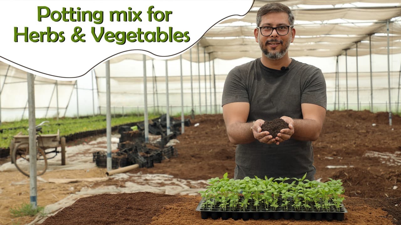 Gardening Soil Mix for Herbs & Vegetables Best Soil mix for your