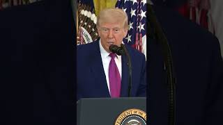 Trump calls Fed chair Powell ‘numbskull’ as he urges interest rate cut