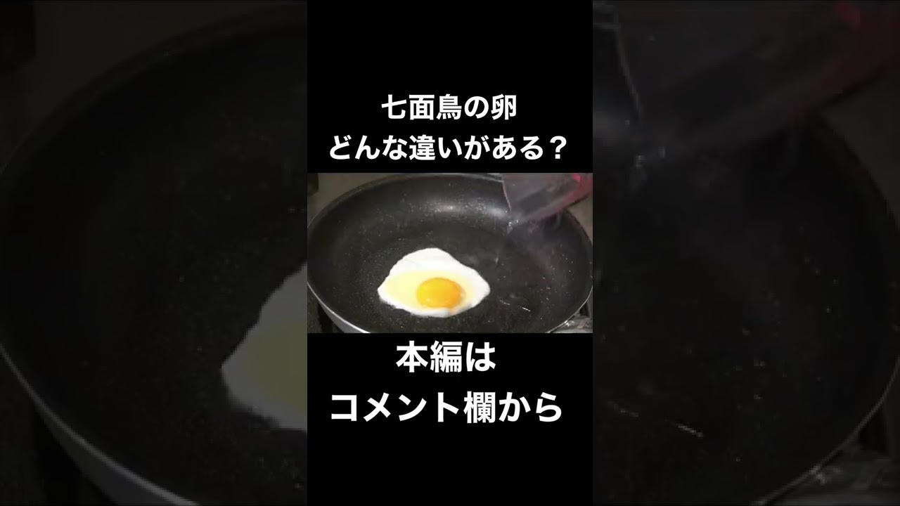 七面鳥の肉は有名だけど 卵って食べたことある Shorts Youtube