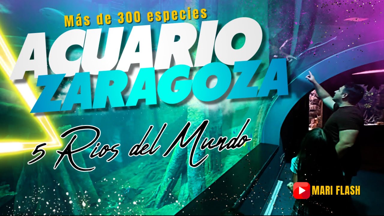 Qué ver en el ACUARIO FLUVIAL de ZARAGOZA - El más GRANDE de EUROPA ...