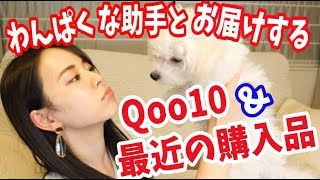 わんぱくな助手とお届けするQoo10&最近の購入品!!