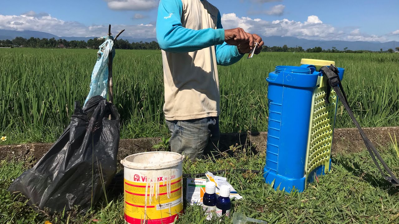 Part (1) Proses Mencampur Pestisida /Insektisida/Fungisida Yang Benar