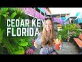 Cedar key florida before hurricane idalia  a day in levy county exploring the nature coast  ep 3