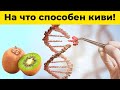 🔥Полезные свойства киви, о которых вы не знали!  🥝