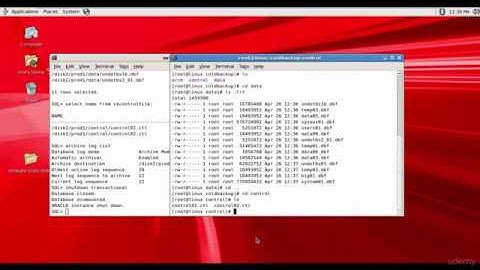 098 Oracle DBA Complete Tutorial - Performing a Cold Backup manually