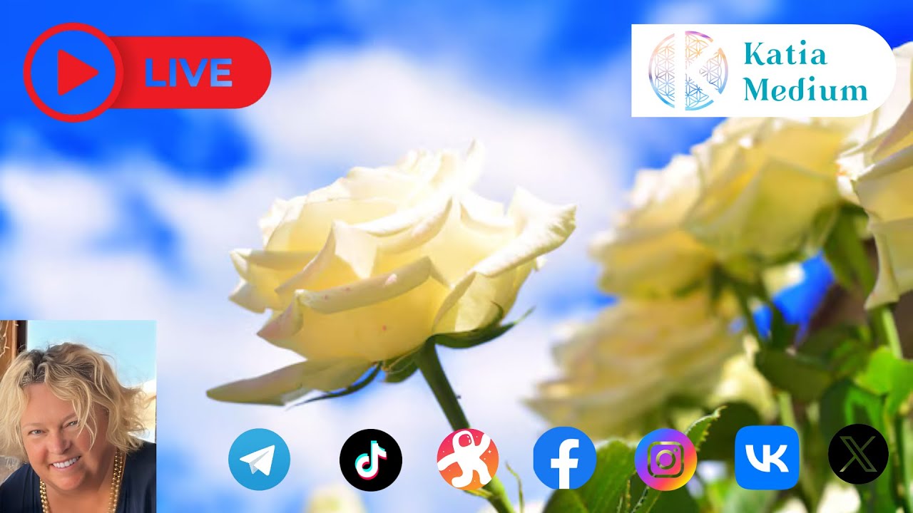 Videos Youtube