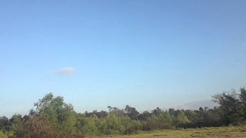 Elvis flying Multiplex FUNJET through a tree